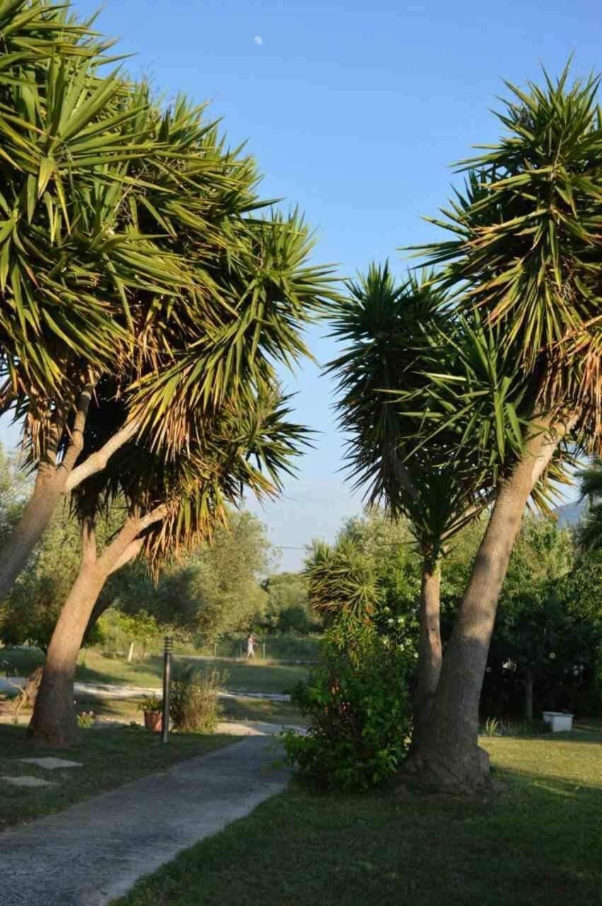 Sunny Garden Apartment Plataria Ngoại thất bức ảnh